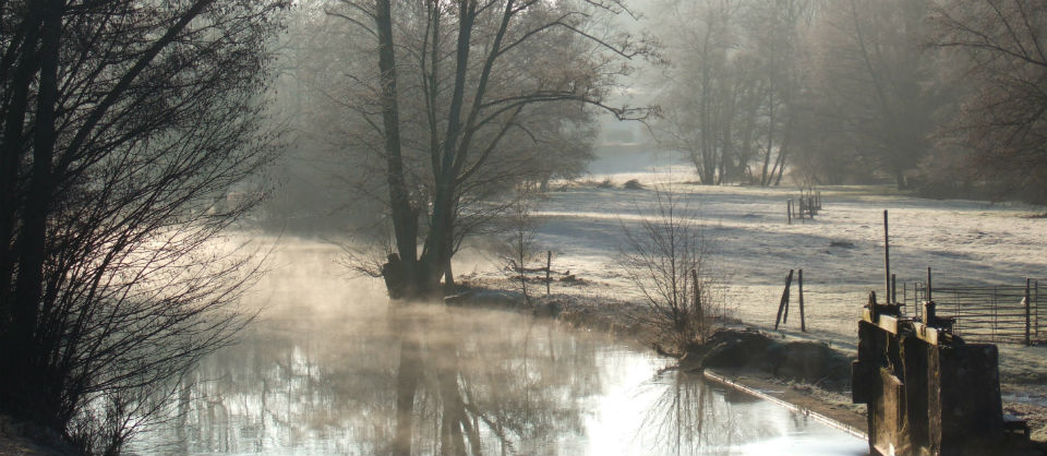 Winter charm...